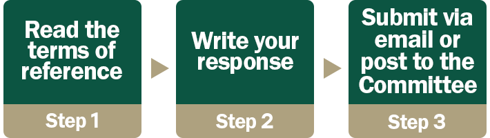 committee submission steps 1 to 3